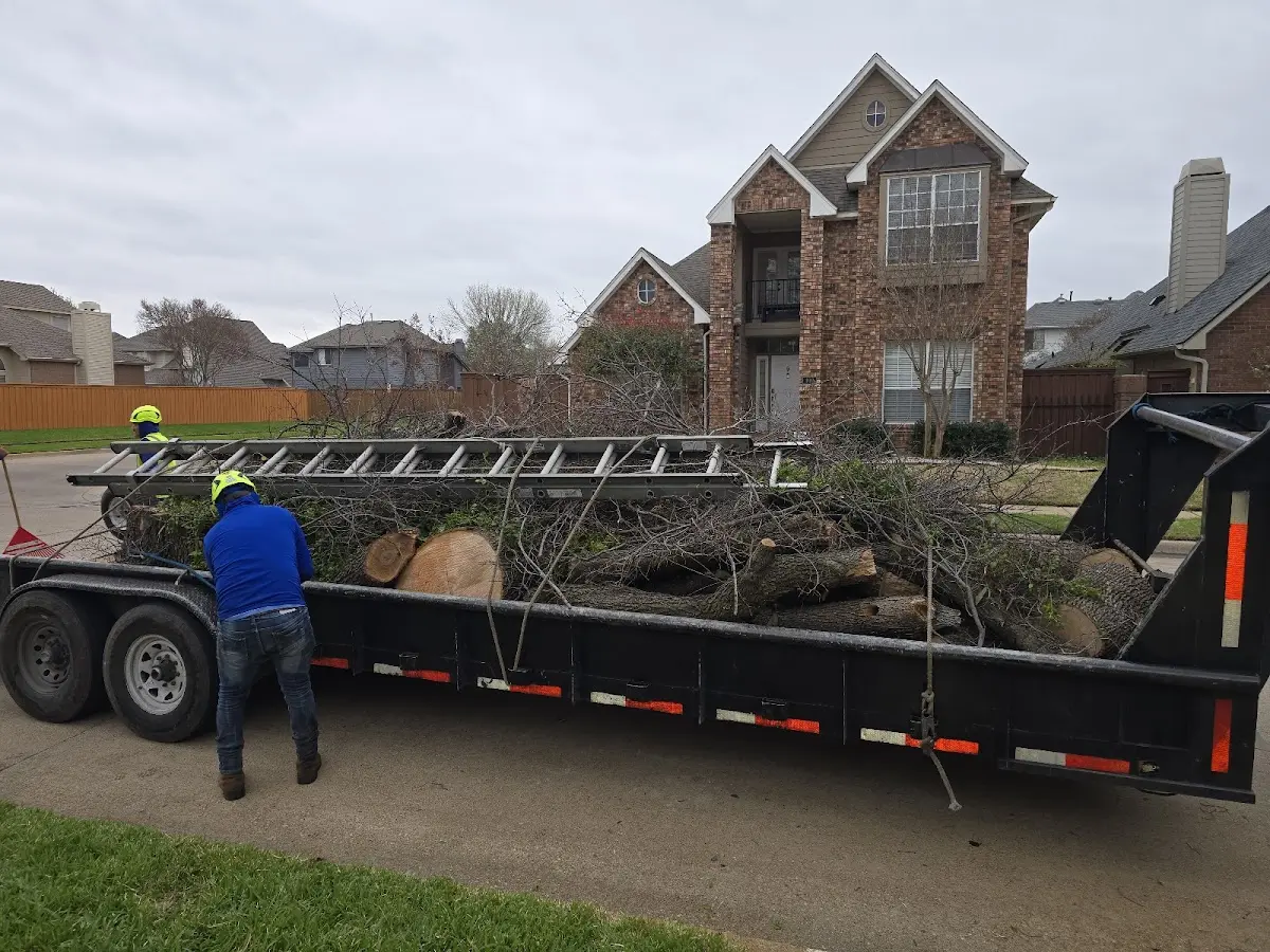 Expert Lot Clearing with proper safety equipment in Westport